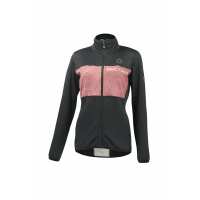 Read Pactimo Reviews